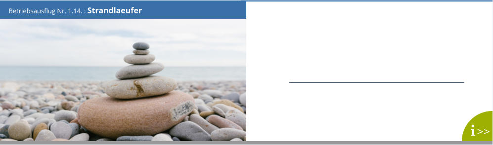 Betriebsausflug Nr. 1.14. : Strandlaeufer >>