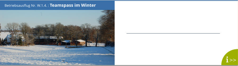 Betriebsausflug Nr. W.1.4. : Teamspass im Winter >>