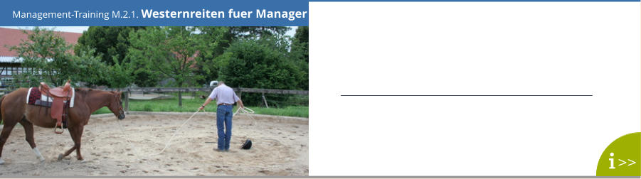 Management-Training M.2.1. Westernreiten fuer Manager >>