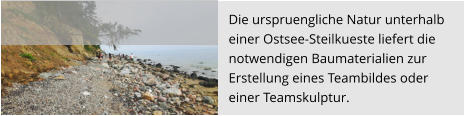 Die urspruengliche Natur unterhalb  einer Ostsee-Steilkueste liefert die  notwendigen Baumaterialien zur  Erstellung eines Teambildes oder  einer Teamskulptur.