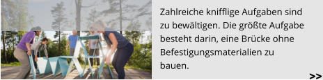 Zahlreiche knifflige Aufgaben sind  zu bewältigen. Die größte Aufgabe  besteht darin, eine Brücke ohne  Befestigungsmaterialien zu  bauen.   >>