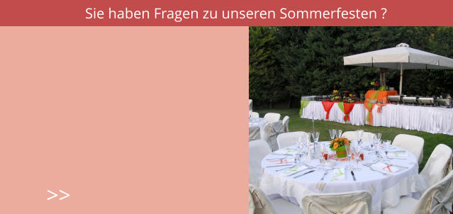 Sie haben Fragen zu unseren Sommerfesten ? >>