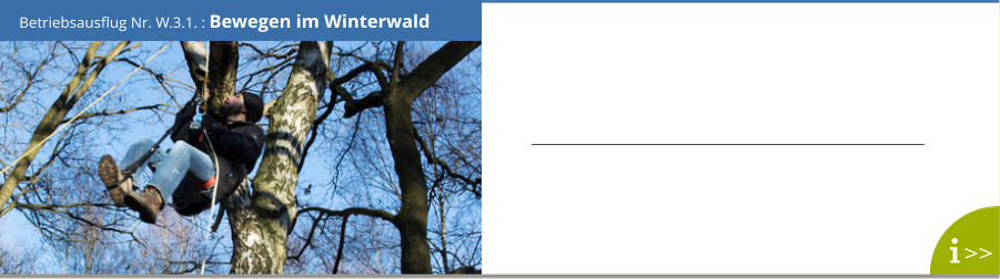 Betriebsausflug Nr. W.3.1. : Bewegen im Winterwald >>