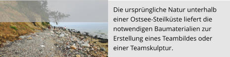 Die ursprüngliche Natur unterhalb  einer Ostsee-Steilküste liefert die  notwendigen Baumaterialien zur  Erstellung eines Teambildes oder  einer Teamskulptur.